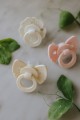pol_pl_Elodie-Details-smoczek-lateksowy-Binky-Bloom-3-m-vanilla-white-36105_8.jpg