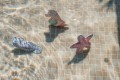 pol_pl_Little-Dutch-Zabawki-do-nauki-nurkowania-Dreamy-Mermaid-3szt-5971_2.jpg