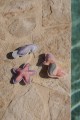 pol_pl_Little-Dutch-Zabawki-do-nauki-nurkowania-Dreamy-Mermaid-3szt-5971_7.jpg