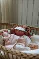 pol_pl_ELODIE-DETAILS-Organizer-Zip-Go-Pink-Petit-River-Rose-36659_1.jpg